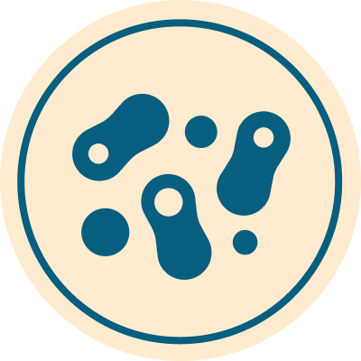 Fructooligosaccharide